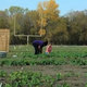 The "We Over Me Farm" (YouTube)